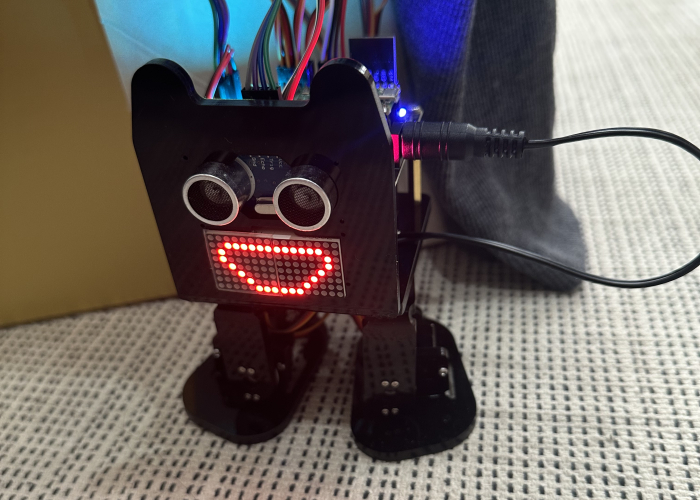 bipedal robot 사진 3