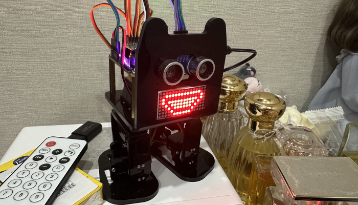 bipedal robot